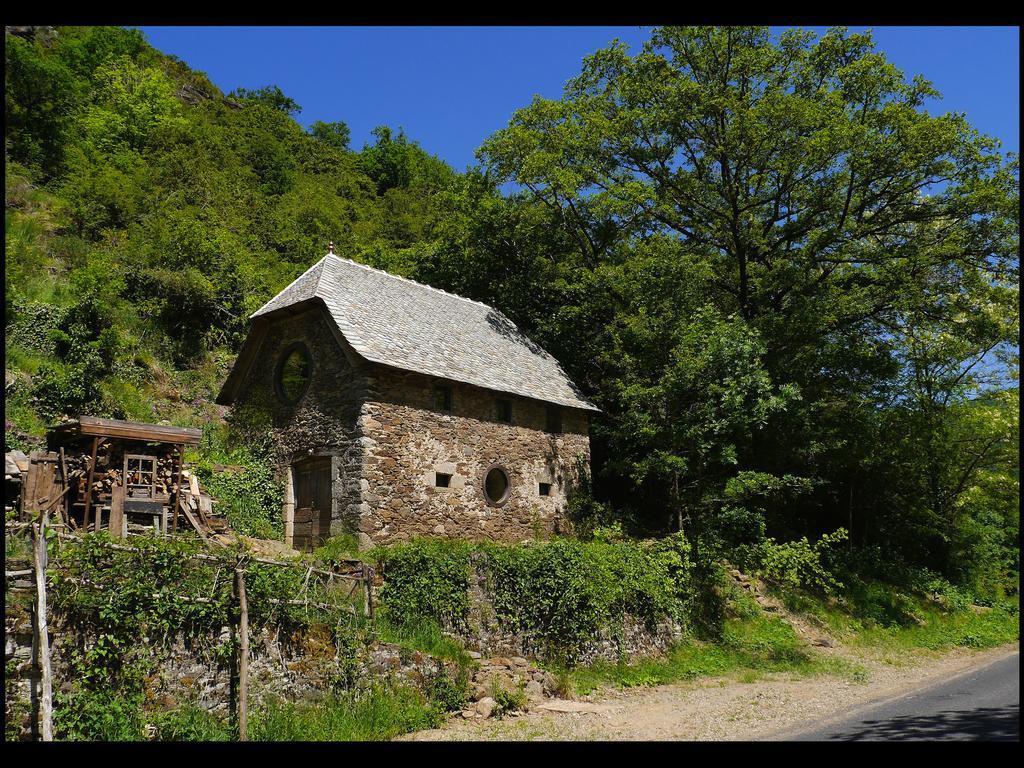 Malrieu Bed and Breakfast Le Fel Habitación foto